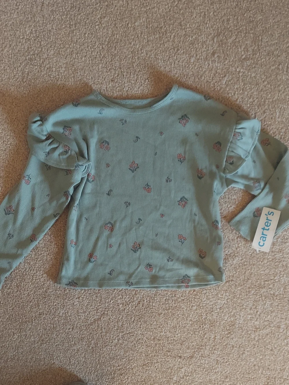 Carter's Girl's Sage Green Floral Ruffle Long Sleeve Tee 3T